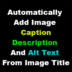 Automatically Add Description, Caption And Alt Text From Image Title